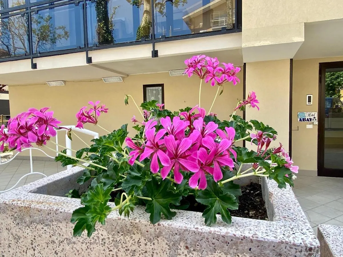 Hotel Abay Rimini 3*,